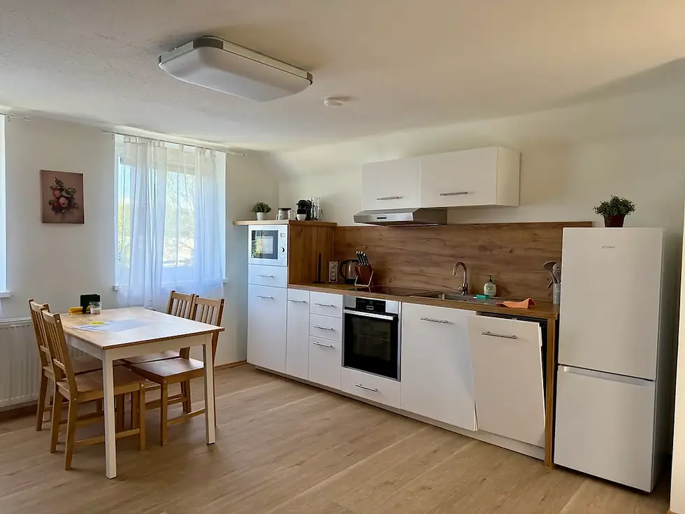 Apartments in Graz voll ausgestattet
