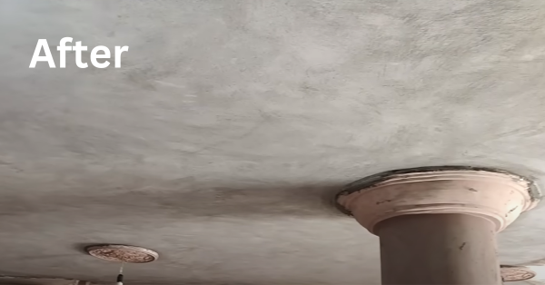 leakage repair roof specialist singapore