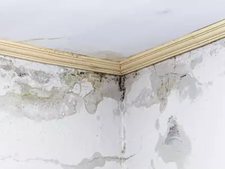 Leakage Repair Roof Specialist Singapore: Solving Your Roofing Problems