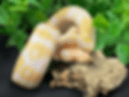 snake8-web.gif