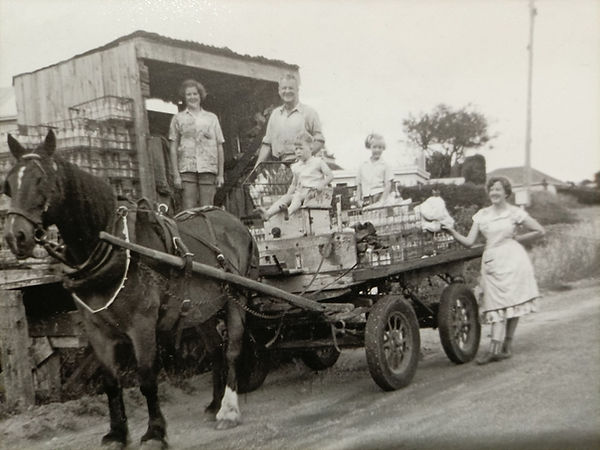Harry Shaw and team deliveriing milk in Raumati South
