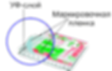 Уф слой(2)а (1).png