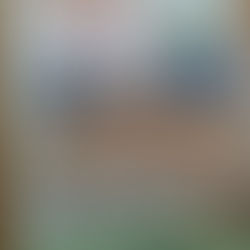 カレンデュラ（キンセンカ）の栽培体験募集！！！！