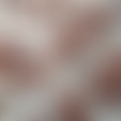 ドライトマトのオイル漬け