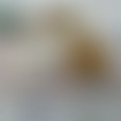 給食レストラン