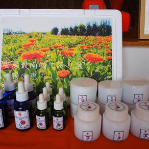 ショップに国産カレンデュラシリーズ追加