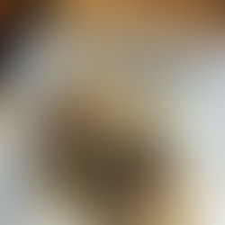 キルギスからお客様