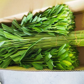 花あわの査定会