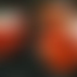 ミニトマト販売