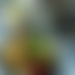 生にんにくとそら豆