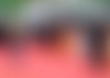 Toronto Film Festival 2024