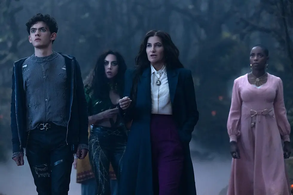 grey sweater, sweater with holes, curly hair, dark hair, black jeans, purple trousers, white shirt, black hoodie, pink dress, golden belt, black coat