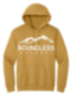 Thumbnail: Heavy Blend Hoodie