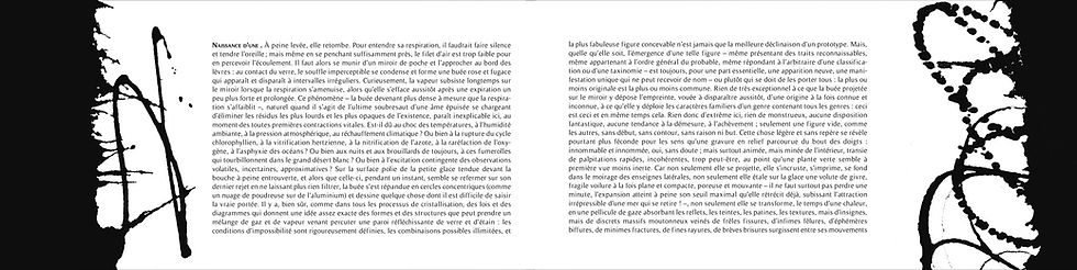 Miniature : Naissance d'une