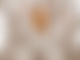 Robot Dog ‘Spot’ Unleashed To Help Maintain Social Distancing In Parks