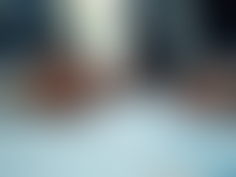 The Importance of a Professional Business Plan