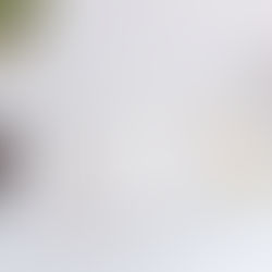 FOR THE 2014-15 YEAR, SEFA WANTED TO APPROVE R1BN