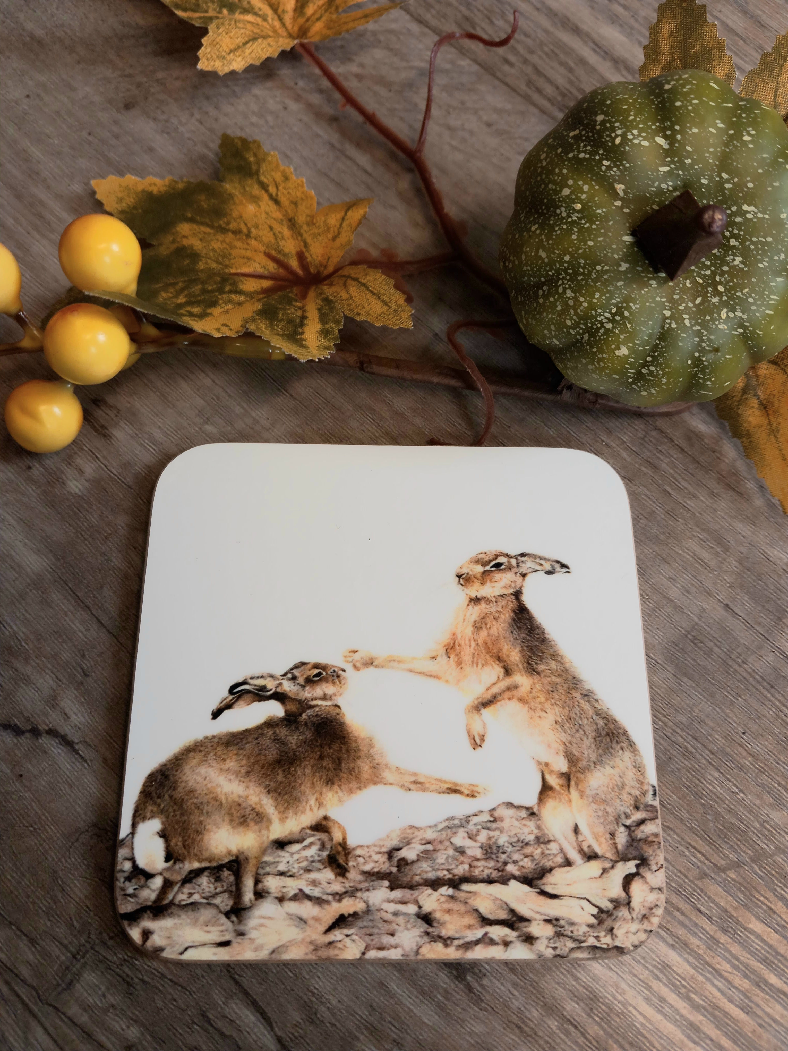 Boxing Hares coaster