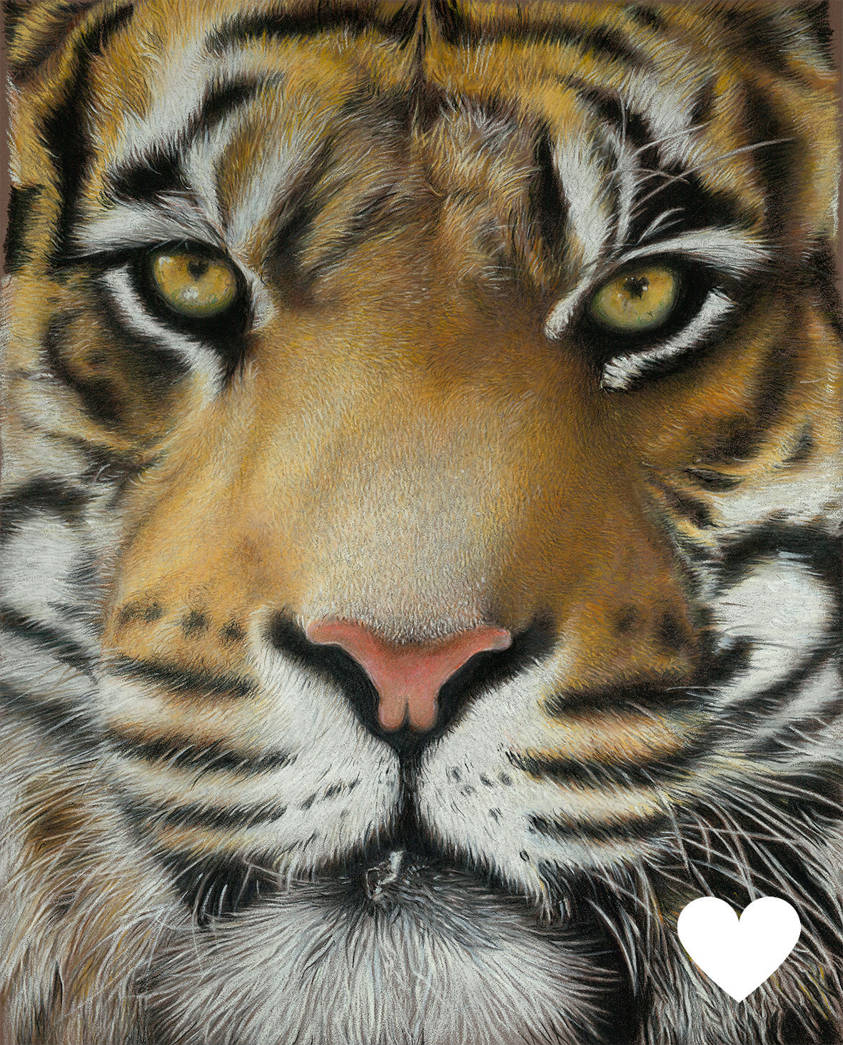 Tiger mounted print