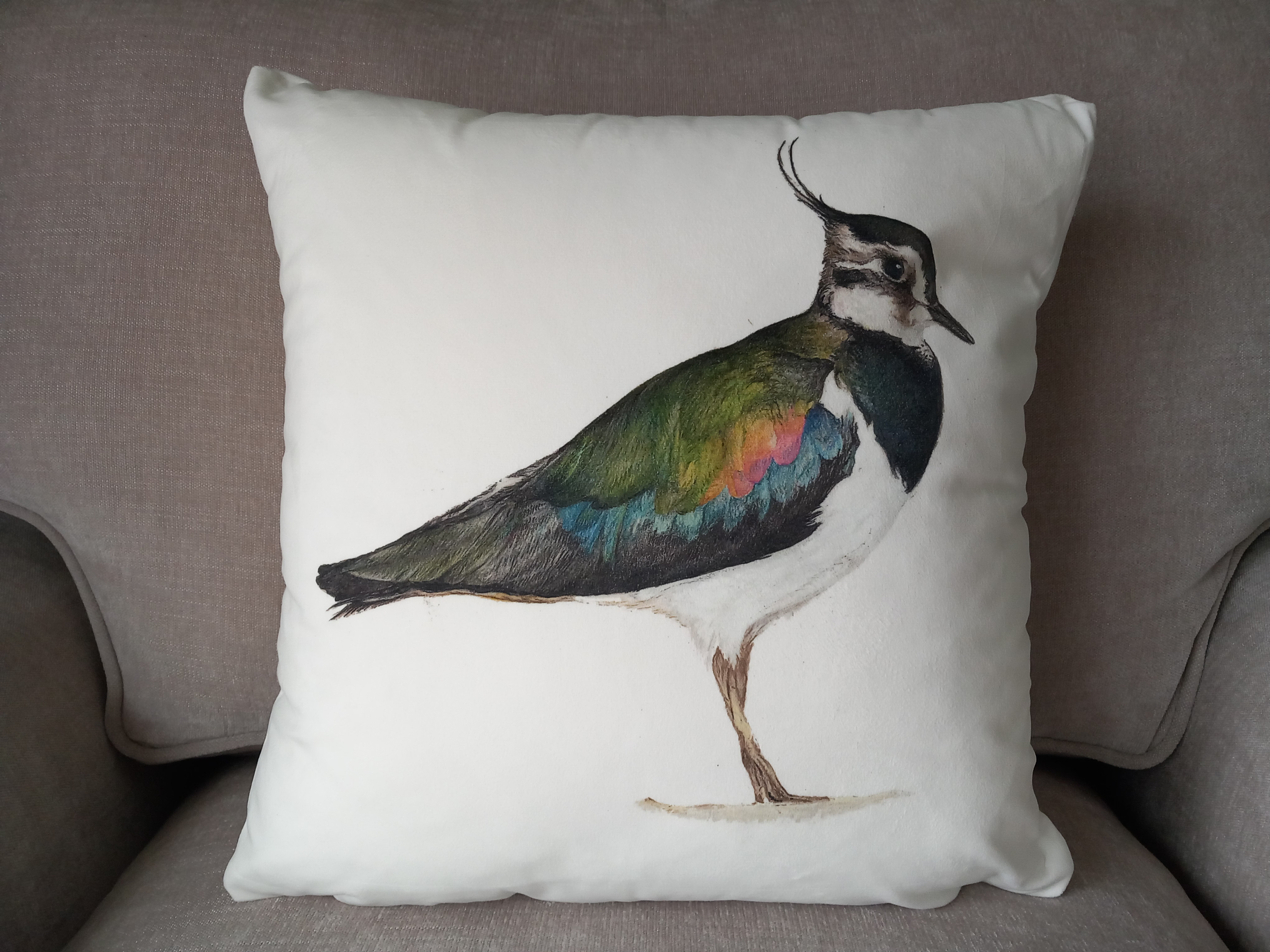 Lapwing cushion 
