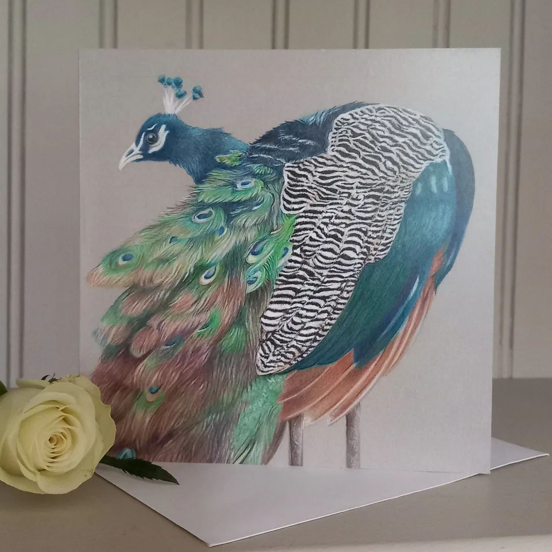 Peacock Greeting card