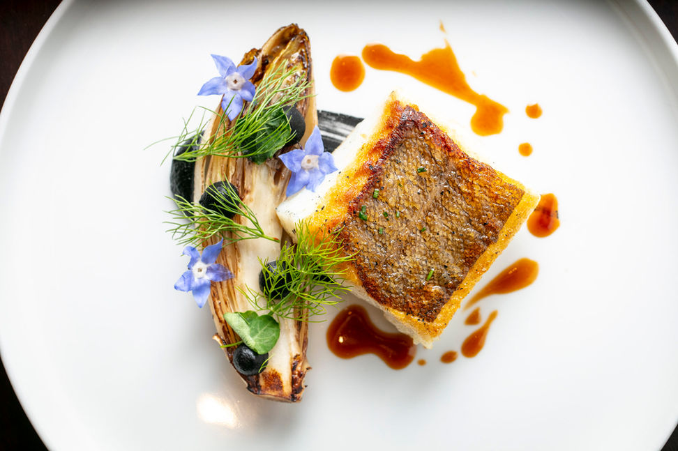 Pan fried cod, beluga lentil purée, caramelised endive, herb salad (7).jpg