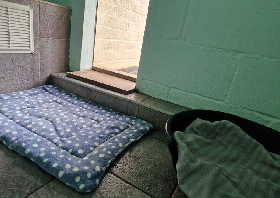 A dog kennel with a blue spotty mat a dog bed and a doorway leading outside