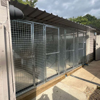 Outdoor metal dog kennels with wire mesh and corrugated roof
