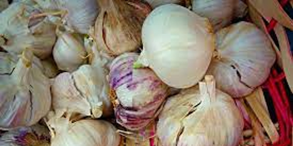 Get your garlic in