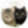 Rp.png