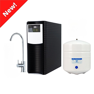 Untitled design (7).png