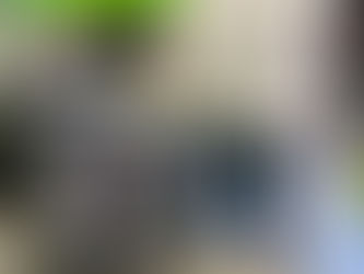 Crocs and the Power of Brand Repositioning