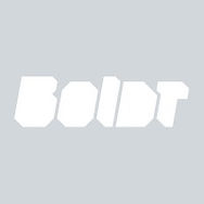 boldt logo_edited.jpg