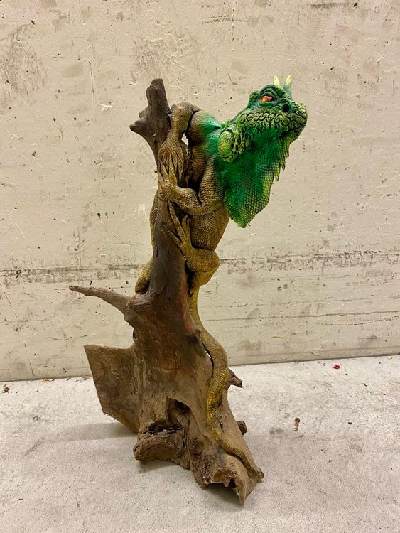 Leguan auf Treibholz