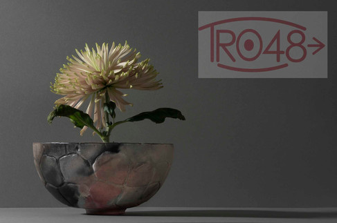Chrysant