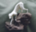 Grey Fox Form. N-E 2 1/4", N-T 24 1/2", Circ. 13 1/2", Eye Size 14mm or 16mm