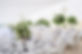 Field Marquee Wedding