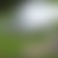 Why Corporate Marquee Hire Derbyshire Is Perfect for Product Launches