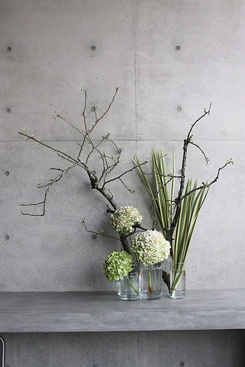 11402224_833506833397022_532526164958244