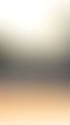 Lucas Oil Late Model Dirt Series Roars into Ocala Speedway