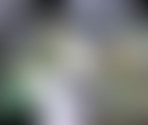 INDYCAR Officiating Ready for 2026 Season Opener in St. Petersburg