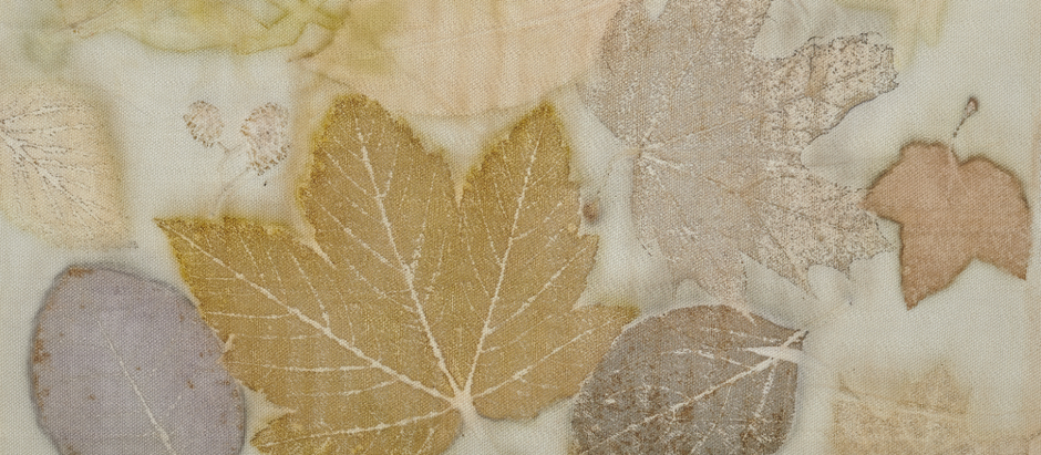 Eco-Printing: A Therapeutic Journey Through Nature's Palette