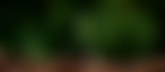 Where There Are Beginnings…