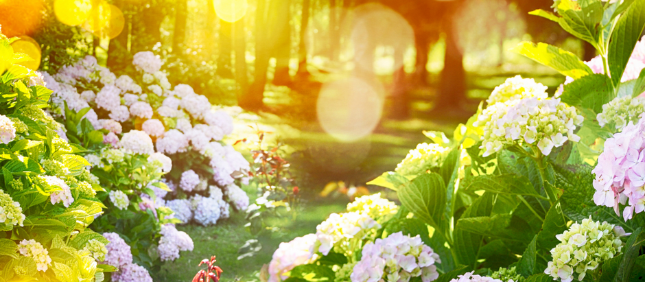 Summer Enchantment: Capturing Summer's Essence through Artmaking