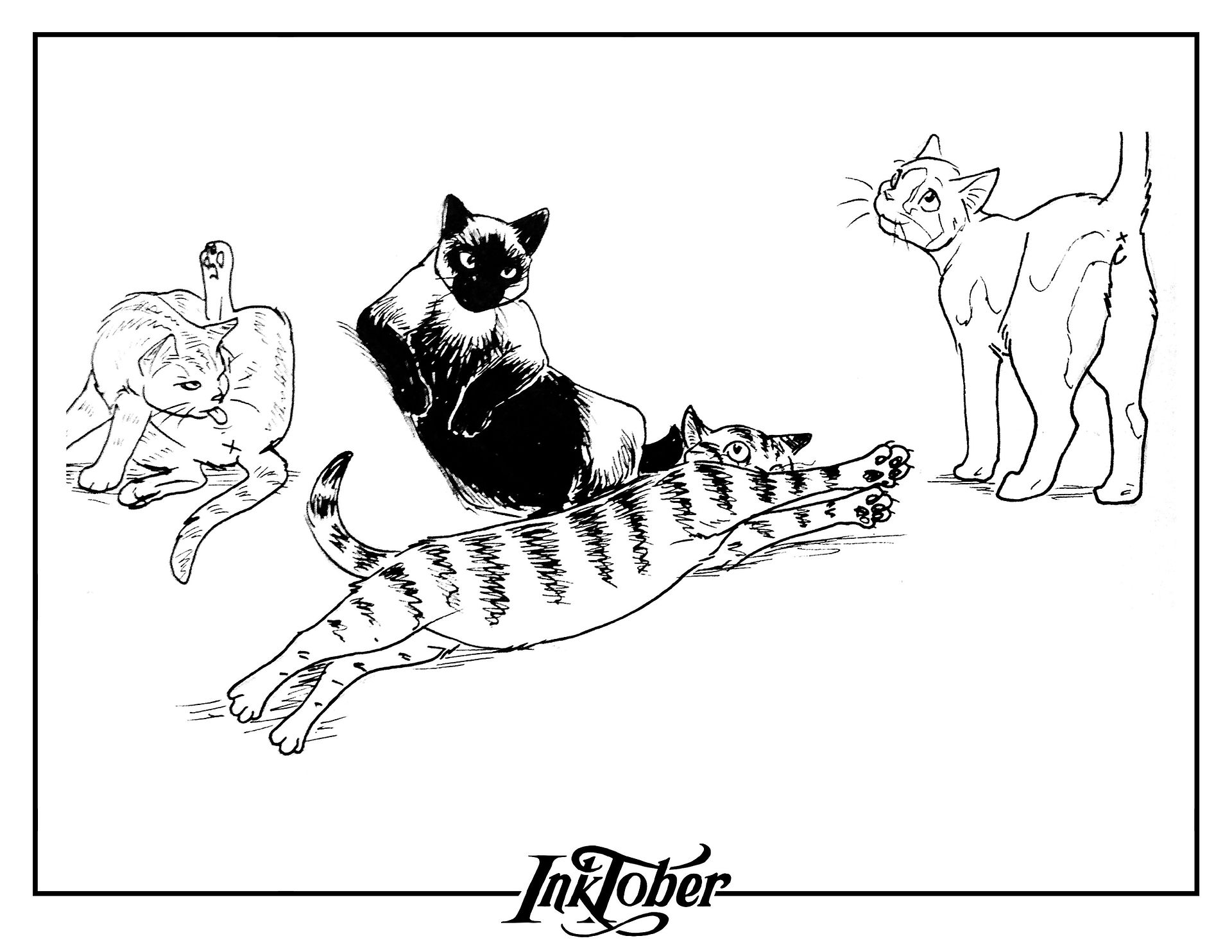 Day 26