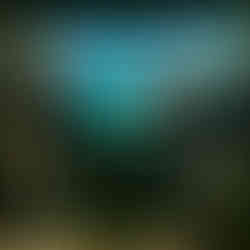 Dave Reichert TF Labs Conversation