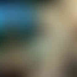 Dave Reichert TF Labs Conversation