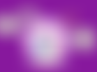 How is my personal information used and stored during my application?