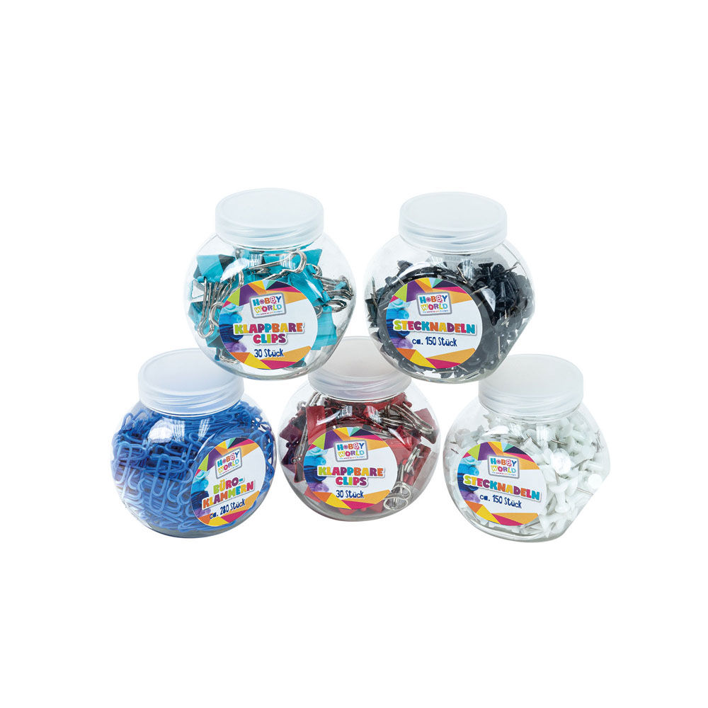 191961 CLIP & PINS SET