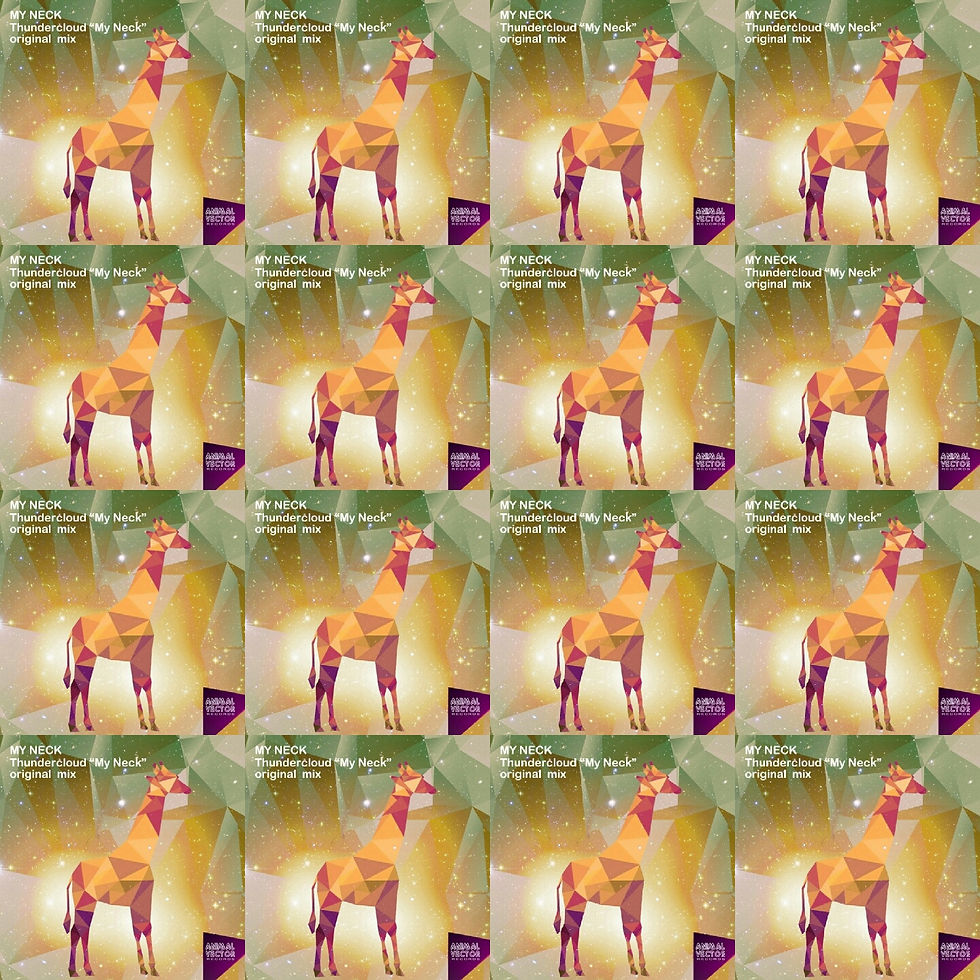 ¨My Neck¨ original mix